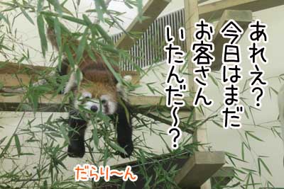 夜８.JPG