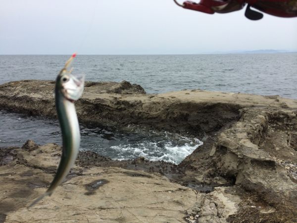 rblog-20140429162320-01.jpg