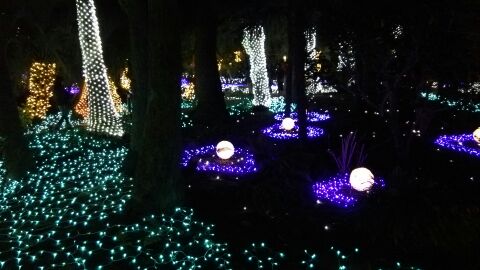 rblog-20141231174940-00.jpg