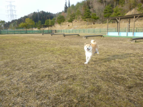 P1090350.JPG