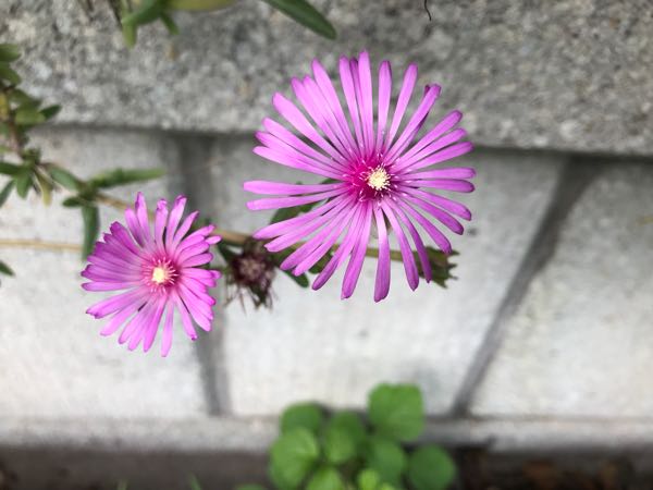 rblog-20180628171900-09.jpg