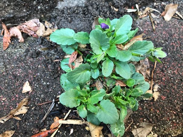 rblog-20190401164627-06.jpg