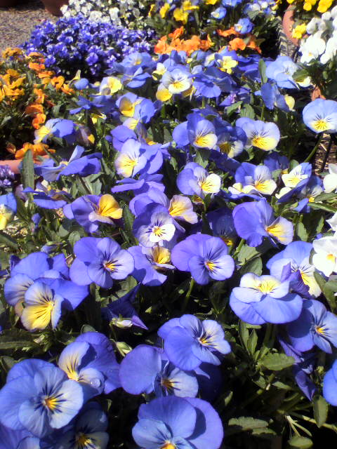 2011033011010000.jpg