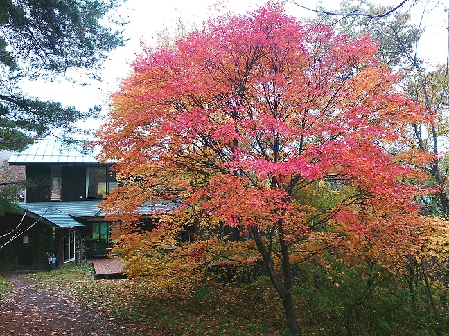 DSC_0945.jpg