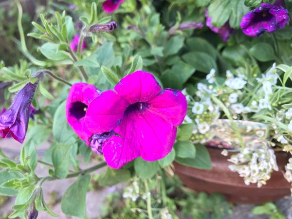 rblog-20190324173608-06.jpg