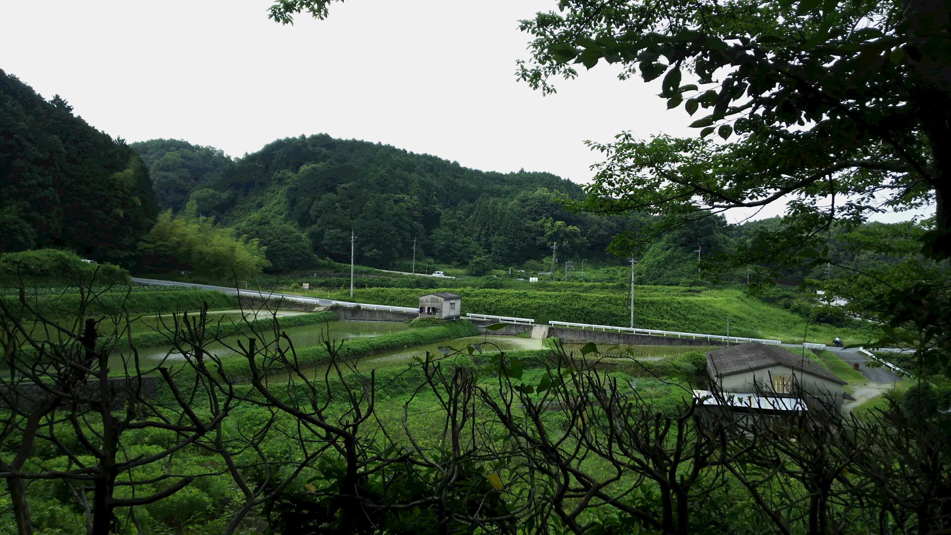 DSC_0486.JPG