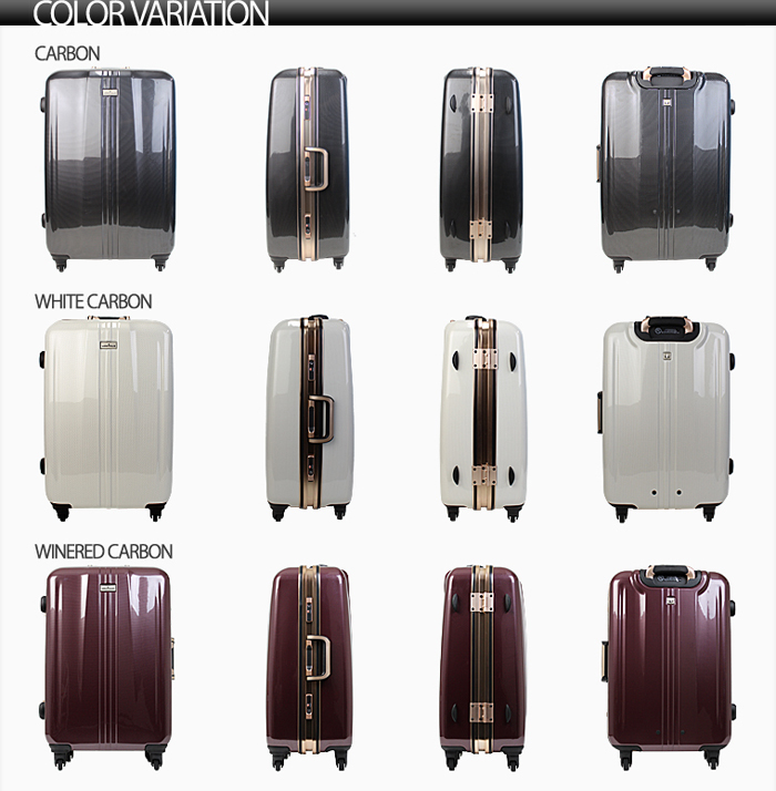 suitcase1