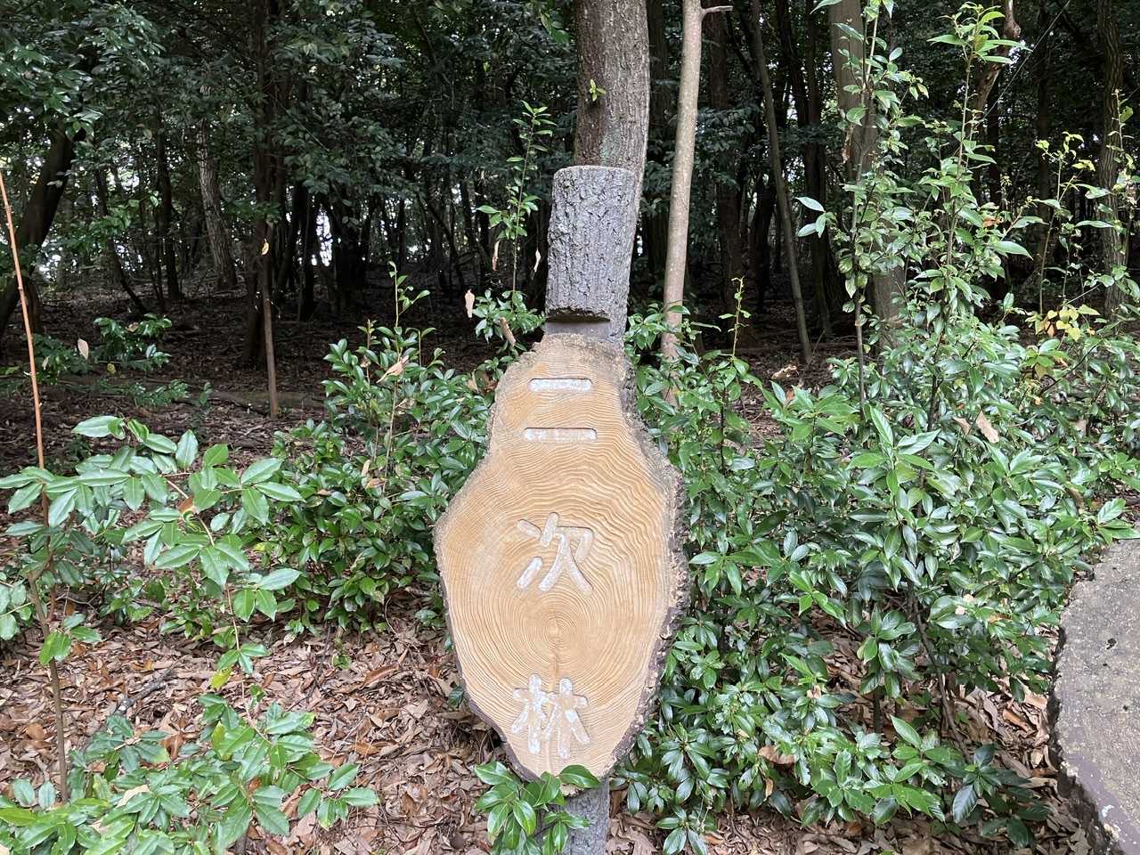 今日のどんぐり ウバメガシ林 | 今日は誰と会えるかな だいたい東山動植物園 - 楽天ブログ