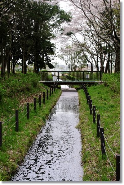 北部公園-12 16.4.10