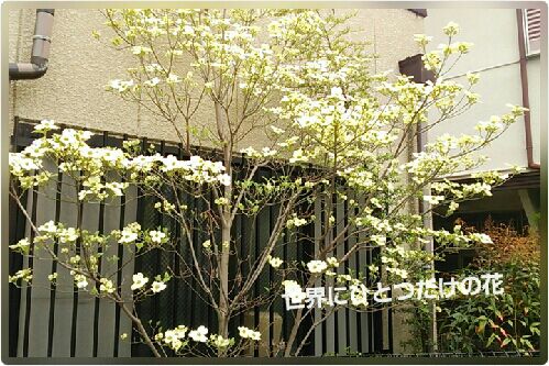 rblog-20160414181220-00.jpg