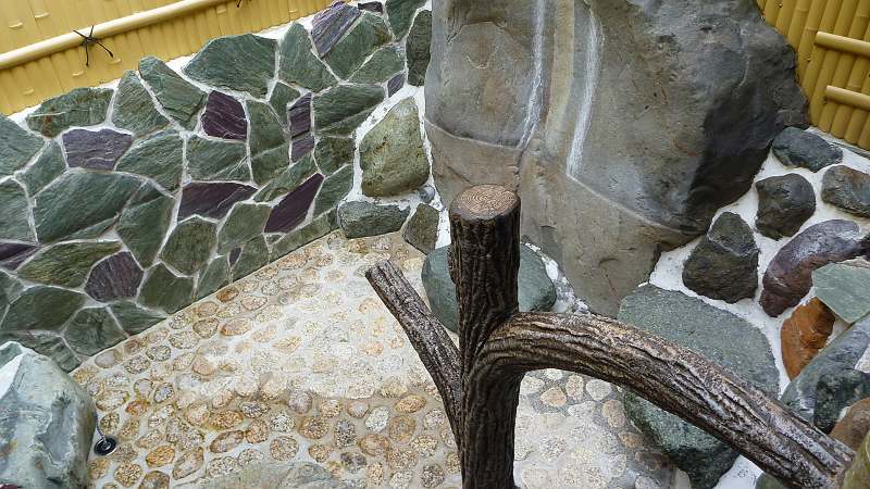 湯元屋 虹の湯3