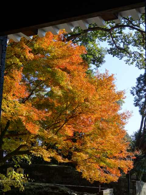 DSC08013_R.JPG