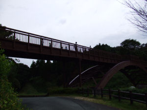 04