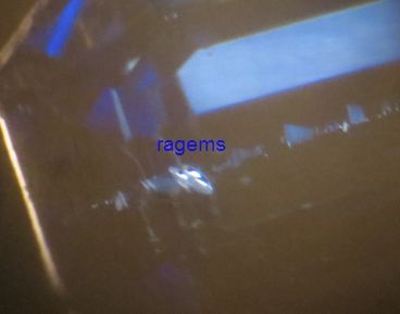 heated sap inclusion.jpg