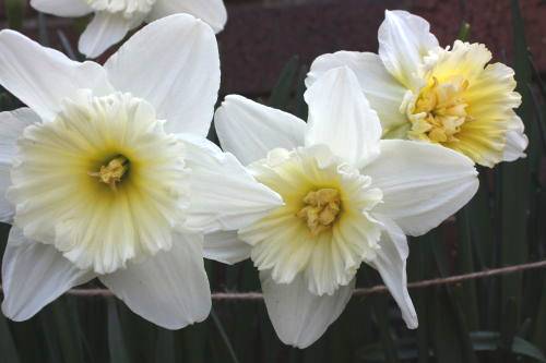 20150322_203.jpg
