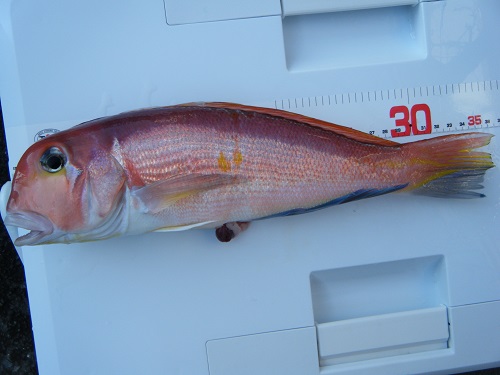 DSCF1805.JPG