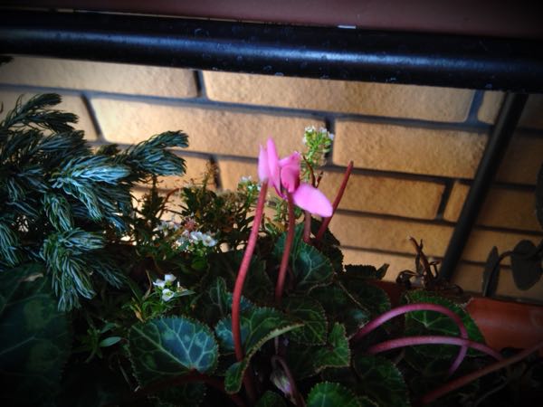 rblog-20141231140130-01.jpg