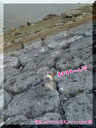 P1000349.jpg