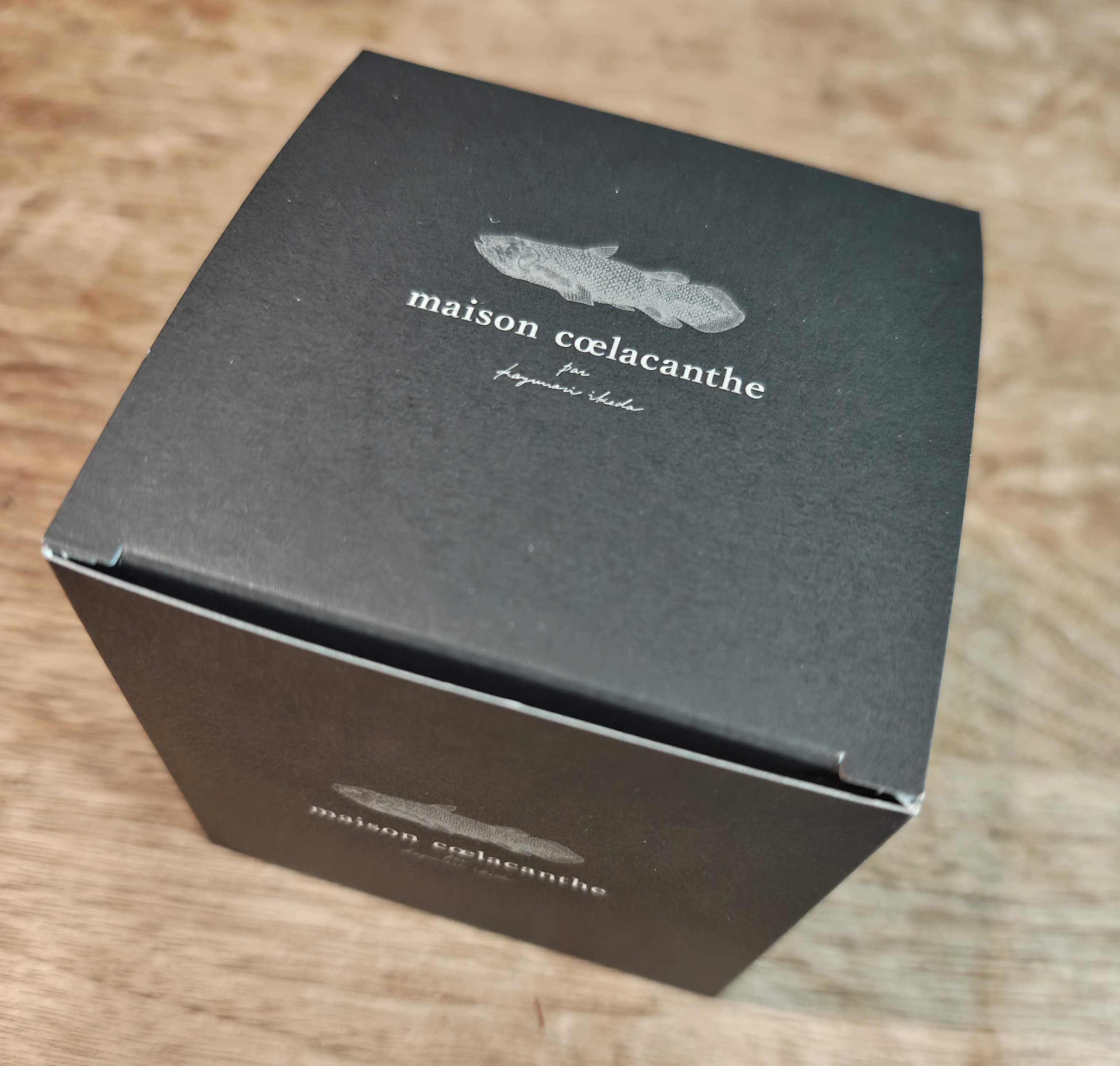 メゾンシーラカンス、カズノリ イケダ アンディヴィデュエル　銀座三越　シーラカンスチョコモナカ　オシャレな外箱