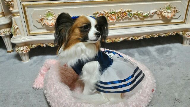 rblog-20150123055438-02.jpg