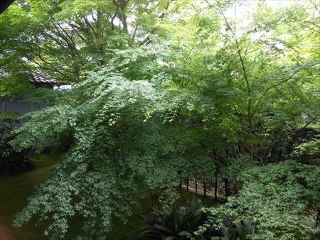 京都　鷹峯　源光庵