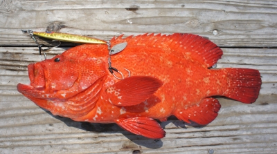 20140530_1105584.jpg