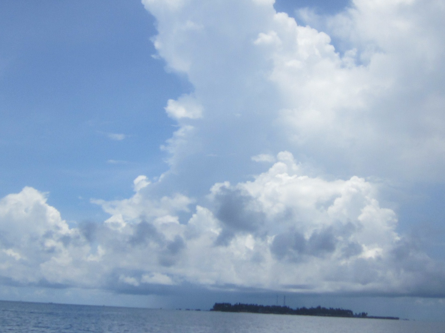 IMG_3330@.JPG
