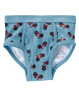 Bicycle Brief.jpg