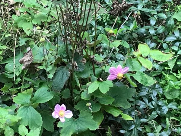 rblog-20181104093502-01.jpg
