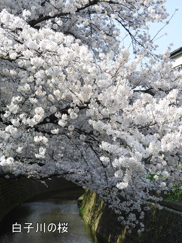 清水山の森にて