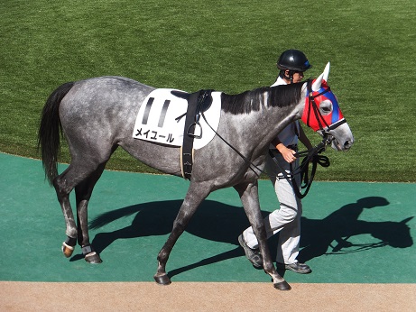 楽天競馬東京競馬場９.jpg