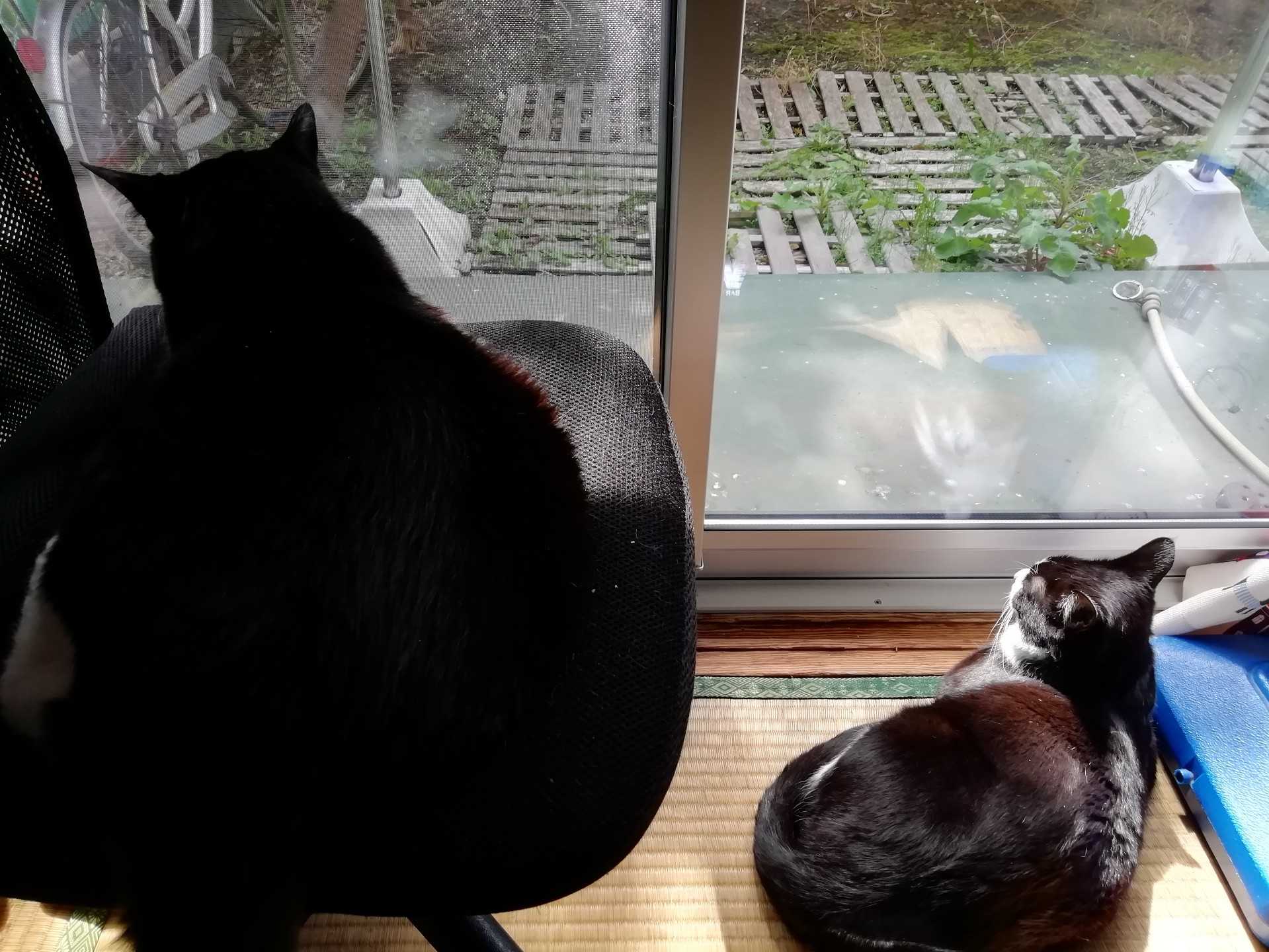 記事一覧 ぷ日記 楽天ブログ