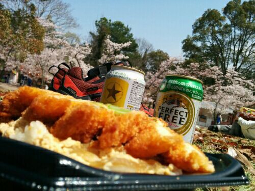 rblog-20170417104206-01.jpg