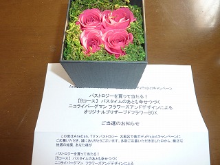 s-P1020555.jpg