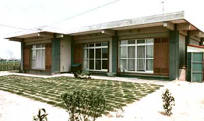 コウライシバを植えた南庭