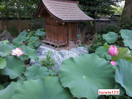 20120809_083737 49番札所　浄土寺