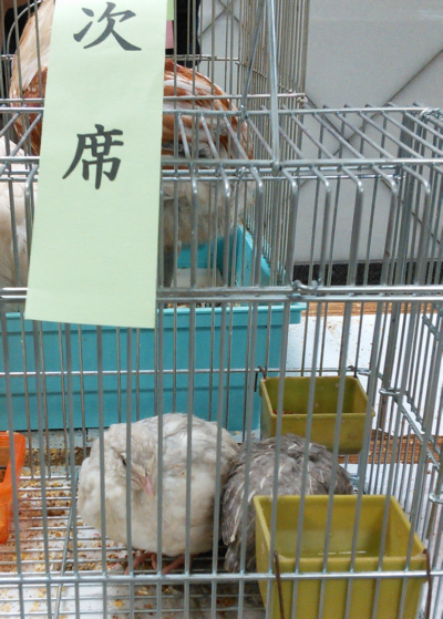 20150517(10)