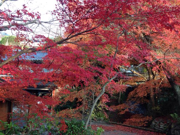 rblog-20141124224717-02.jpg