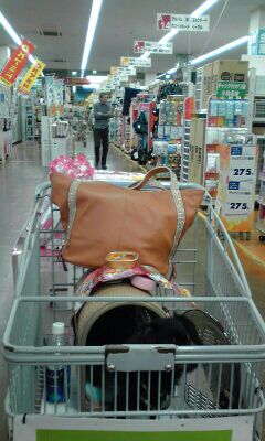 rblog-20150422041322-00.jpg