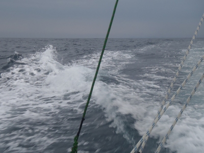 沖縄深海魚採集2013年4月15　海