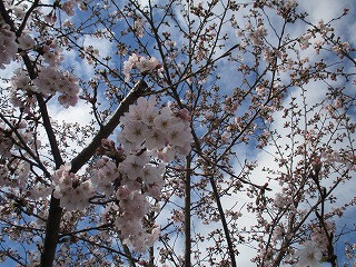 IMG_8842ss.jpg