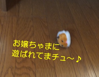 20121026_3.jpg