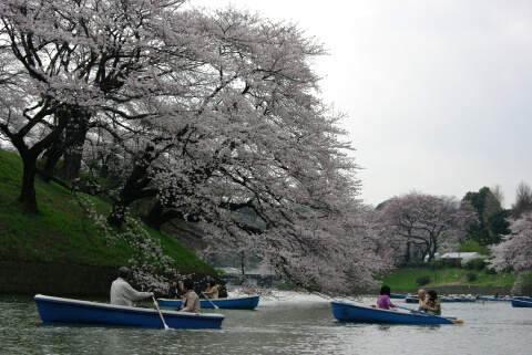 千鳥ヶ淵緑道