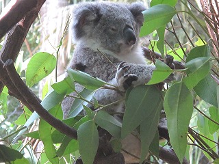 IMG_5225.jpg