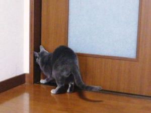 2015年03月19日_P1220493.jpg