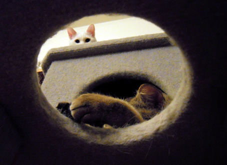 hole.jpg
