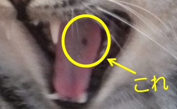 20120918_3.jpg