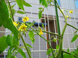 IMG_1642.jpg