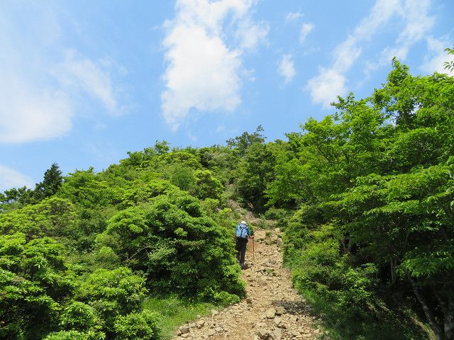 丹沢表尾根・鍋割山（3）烏尾山→塔ノ岳 | 星とカワセミ好きのブログ - 楽天ブログ