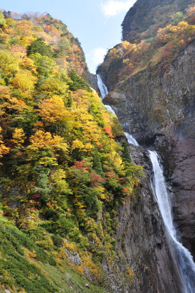 称名滝の紅葉